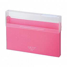 LIHIT LAB Cube Fizz Top Opening Storage Case - A4 - Pink