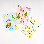 Omiya Yogashiten Hobonichi Folder Set - For A6 Size