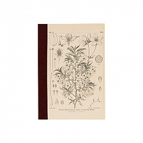 Hobonichi Plain Notebook - Yamazakura - Tomoe River Paper - A6